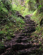 yutaka-yoshii